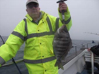 5 lb 7 oz Black Sea Bream by Brian