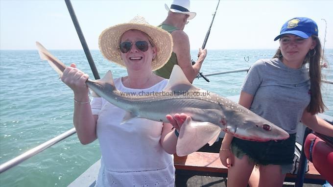9 lb 2 oz Smooth-hound by Unknown