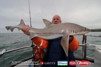 16 lb Starry Smooth-hound by Dennis