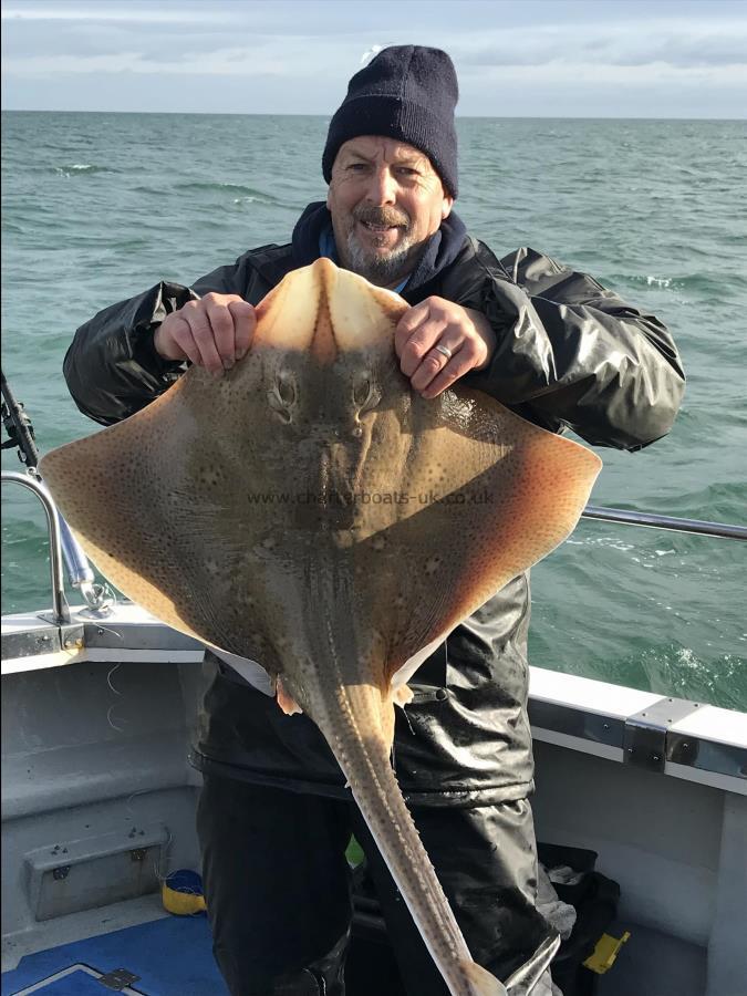 17 lb Blonde Ray by Andy M