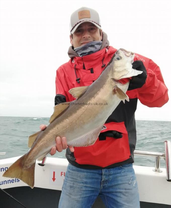 7 lb 5 oz Pollock by Bradley