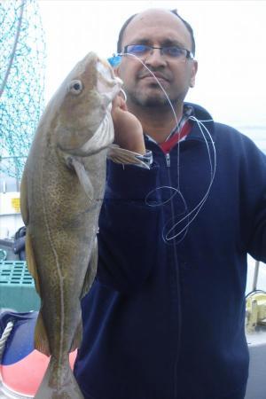 6 lb Cod by Unknown