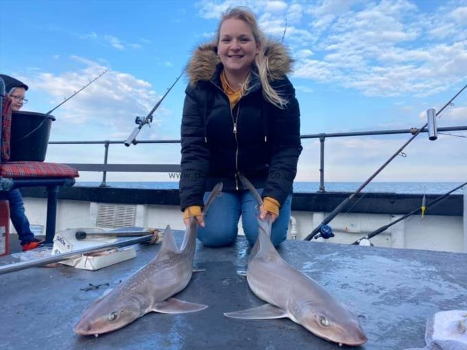 9 lb Smooth-hound by Unknown