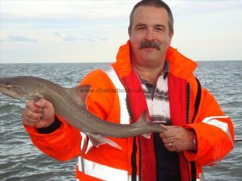 6 lb 5 oz Smooth-hound (Common) by Paul Layton