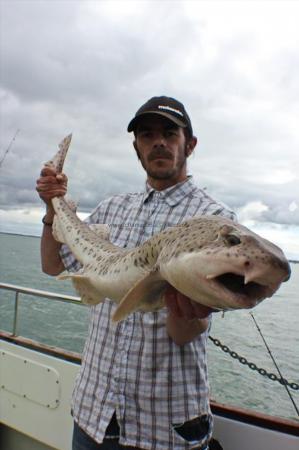 11 lb Bull Huss by Carl 'Monty' Burns