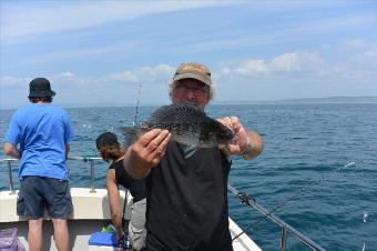 2 lb Black Sea Bream by Stephen Wake