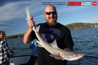 6 lb Starry Smooth-hound by John