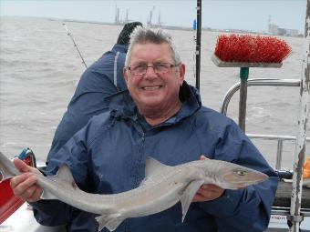 5 lb Smooth-hound by David