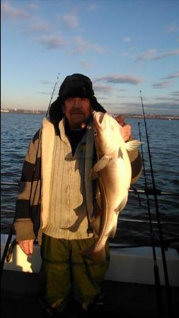 8 lb Cod by Ken