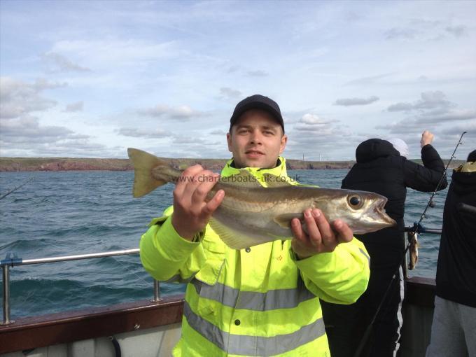 3 lb 8 oz Pollock by Robert Pl