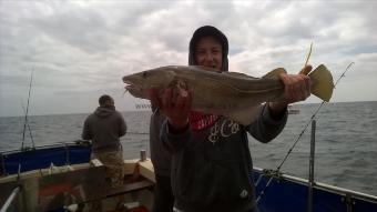 10 lb Cod by Stephen Wake