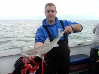 4 lb Smooth-hound (Common) by Nathan