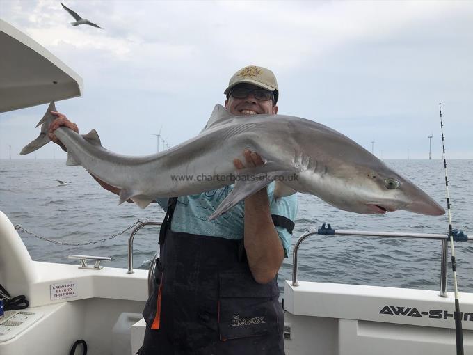 46 lb Tope by Neil Beaumont