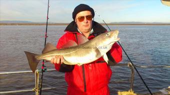 11 lb 8 oz Cod by adrian poole