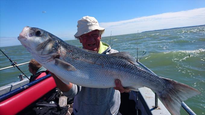 8 lb 6 oz Bass by Dave the bait from ramsgate