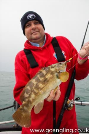 3 lb Ballan Wrasse by Lloyd