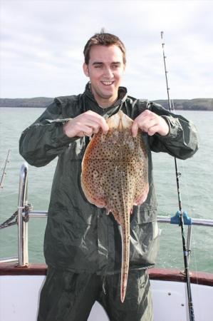 2 lb Spotted Ray by Elliot