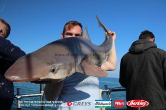 30 lb Tope by Iwan