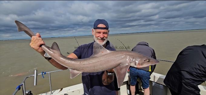 13 lb 4 oz Starry Smooth-hound by Phil