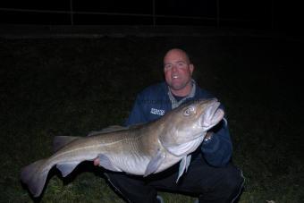 34 lb 7 oz Cod by Stewart Olley