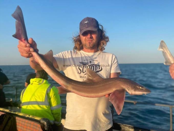 7 lb Smooth-hound (Common) by Unknown