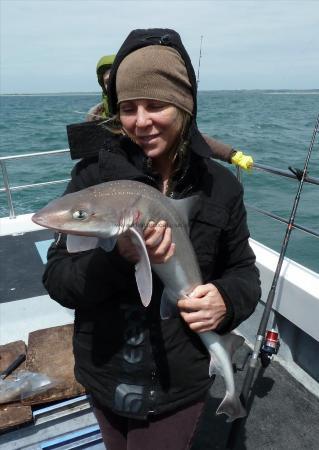 9 lb 4 oz Smooth-hound by Bob Marshall