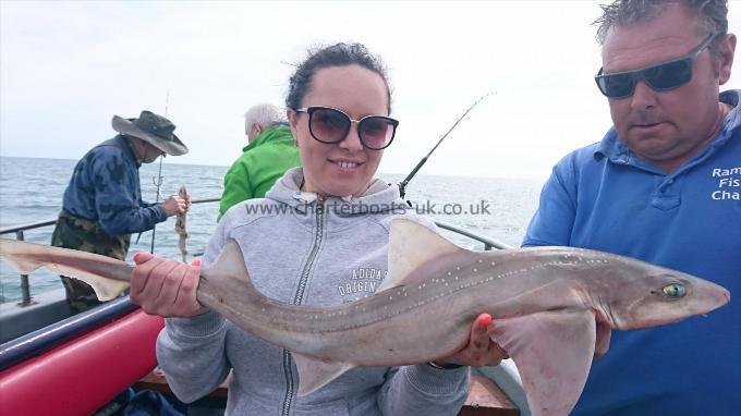 6 lb 1 oz Smooth-hound (Common) by Helen from London