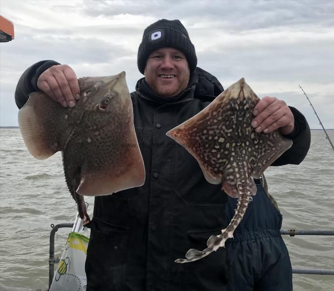 5 lb Thornback Ray by Unknown