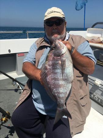 4 lb Black Sea Bream by Malc