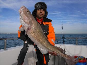 15 lb 14 oz Cod by Unknown