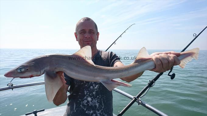 8 lb 5 oz Smooth-hound (Common) by Rob from London