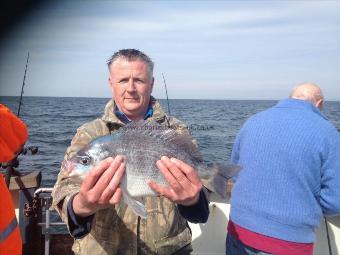 4 lb Black Sea Bream by Unknown