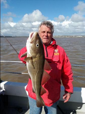 5 lb 8 oz Cod by Reg lewis