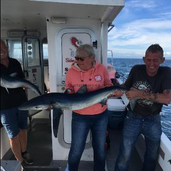 40 lb Blue Shark by Lisa