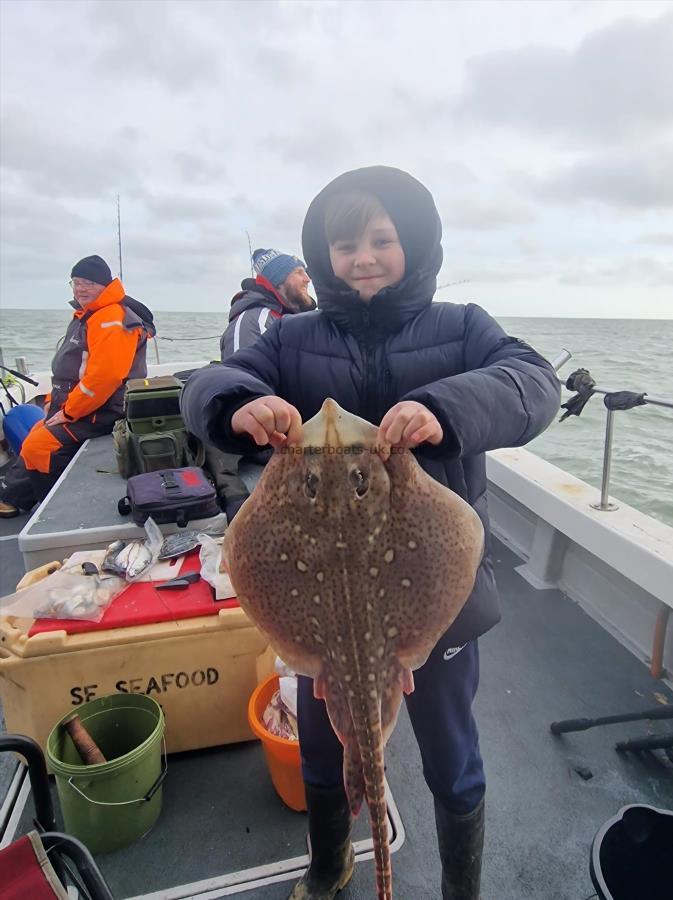 3 lb Thornback Ray by Unknown