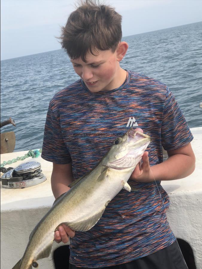 4 lb Pollock by Unknown