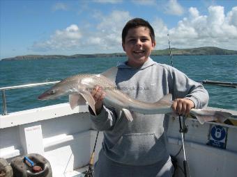 7 lb Smooth-hound (Common) by Unknown