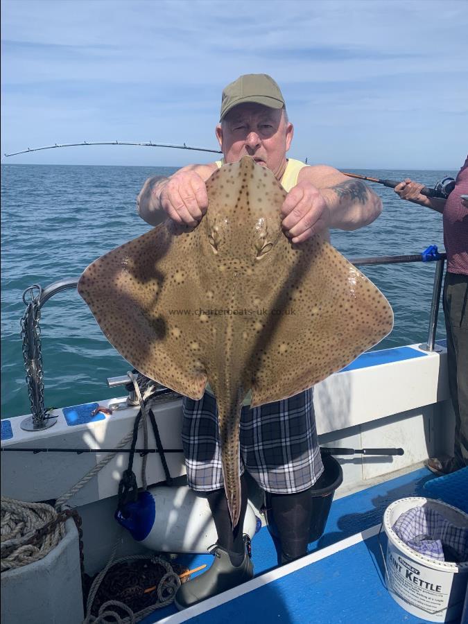8 lb Blonde Ray by Unknown