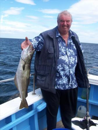 9 lb Pollock by PAUL(DOCTOR)