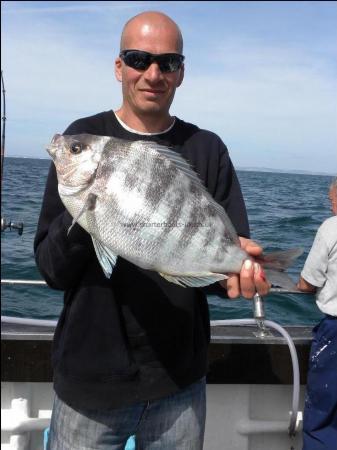 4 lb 10 oz Black Sea Bream by Unknown