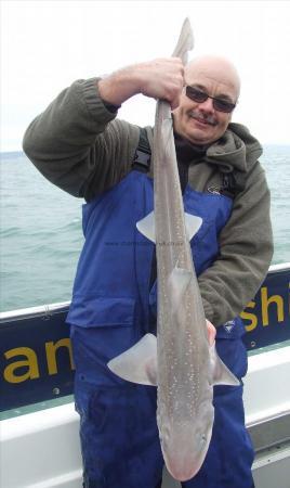 10 lb 8 oz Starry Smooth-hound by Vince Walmsley