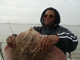 12 lb 3 oz Thornback Ray by Unknown