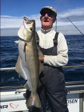 13 lb Pollock by Kevin McKie