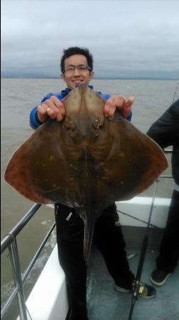 19 lb Blonde Ray by Ken