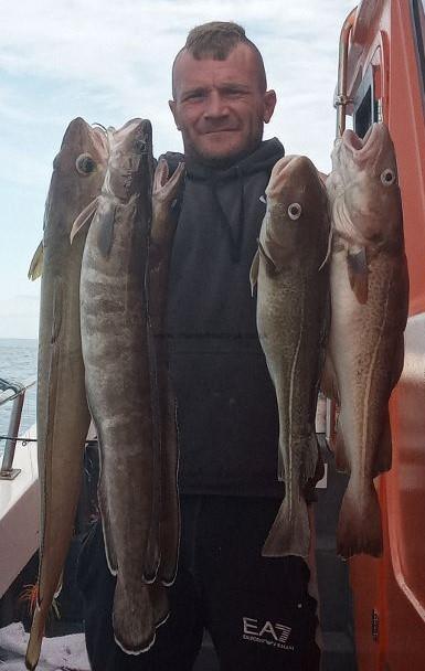 7 lb 8 oz Cod by Unknown