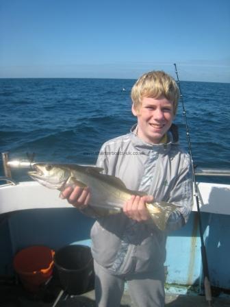 3 lb Pollock by Callum