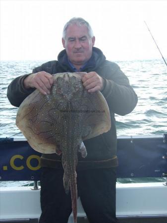 9 lb 9 oz Undulate Ray by Steve Giggins