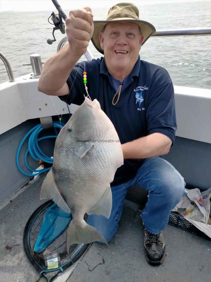 5 lb 7 oz Trigger Fish by Roy Adams