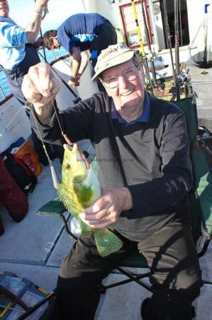 2 lb Ballan Wrasse by Des