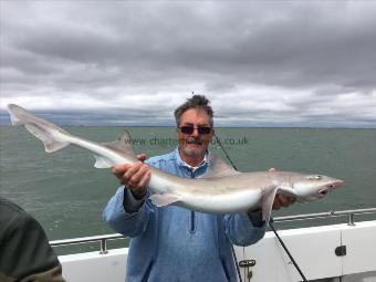 14 lb Smooth-hound (Common) by Mick Inwood